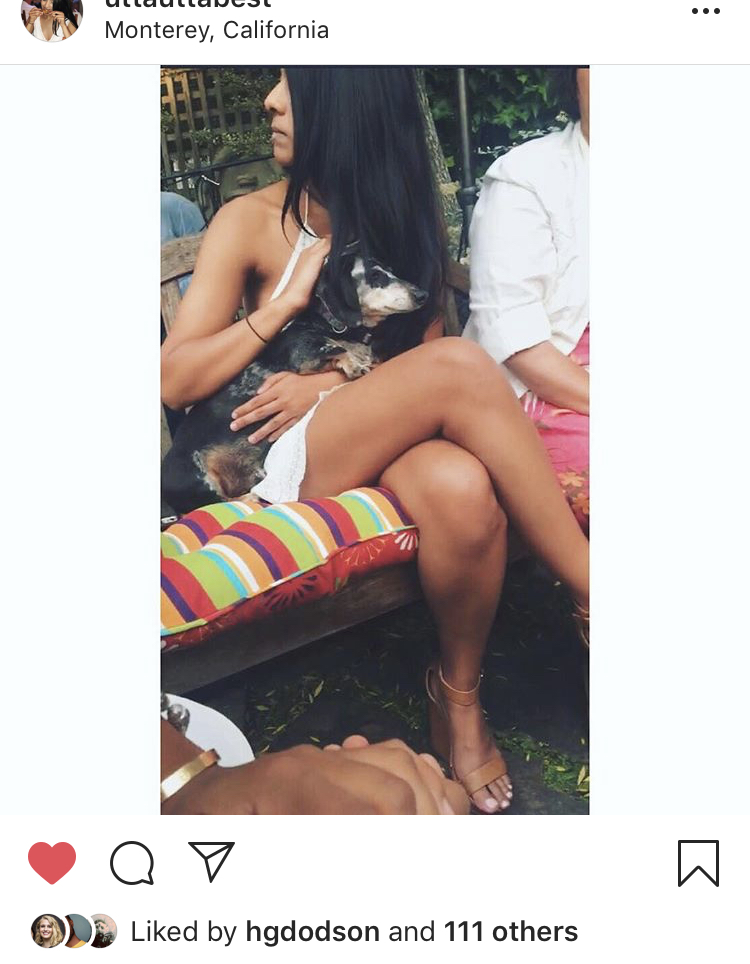 A screenshot of an Instagram post with a white border added. 